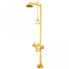Thiết bị rửa mắt khẩn cấp Proguard PG 10022AB