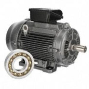 Motor