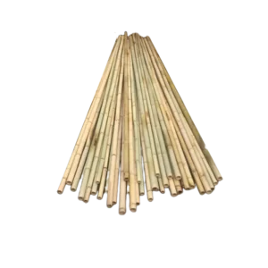 bl024916 coc truc d3cmxl25m da qua xu ly