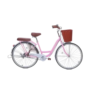 Xe đạp, NEW 26inch màu nâu, Thống Nhất - Ảnh 1
