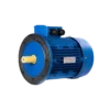 bl036021 dong co dien ba ie1b5 2p0015kw 3 pha transmax