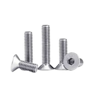 bl036705 bu long luc giac chim dau con m4x10mm sus304 cap ben 68