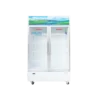 bl038954 tu mat 2 canh vh 1009hp 900l sanaky