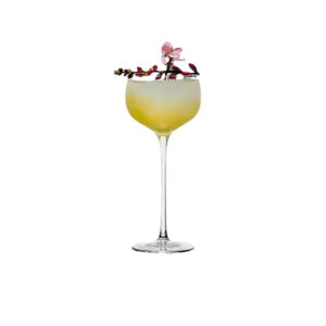Ly thủy tinh pha chế Cocktail Coupe Highfoot, HJY3043 130ml, Barevo Mall - Ảnh 1