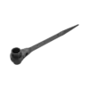 bl035472 co le trong duoi chuot 15292 tolsen