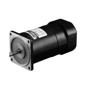 Động cơ liền hộp giảm tốc, 9BDGG-200FP/9PFK, DKM - Ảnh 1