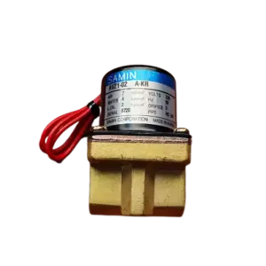 bl006106 van dien tu 24vdc av21 02 5 a kr samin