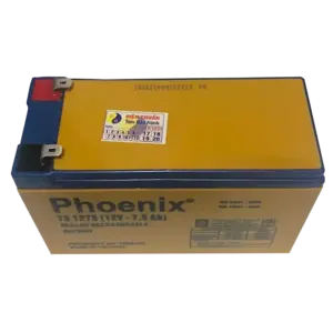 bl006578 ac quy 12v 75ah ts1275 phoenix