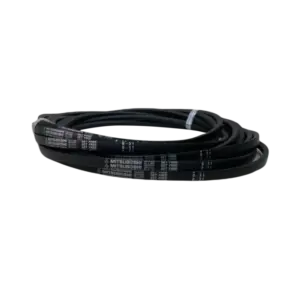 bl007712 day curoa b51 divbelt