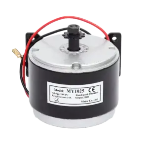 Động cơ xe điện, MY1025 24VDC 250W - Ảnh 1