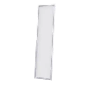 Đèn LED Panel, P08 300x1200/40W.H, Rạng Đông - Ảnh 1