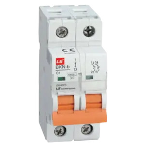 bl014363 cau dao dien loai tep mcb bkn b 2p 40a ls