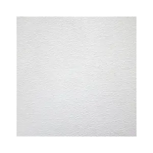 Tấm thạch cao, TP60NB VT4 KT605x605x8mm, Vĩnh Tường - Ảnh 1