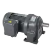 Động cơ giảm tốc, GH40-2200W-60S 23 vòng/ phút 2.2kW 1/60, Wanshsin - Ảnh 1