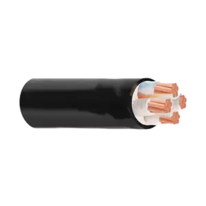 bl015950 cap dien luc ruot dong cach dien xlpe 061kv cxv 4x10mm cadivi