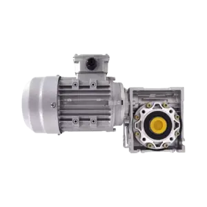 Động cơ giảm tốc, B5/NMRV-050 0.37KW 4P, Wanshsin - Ảnh 1