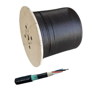 bl016550 day cap quang 4 soi cpkl 4fo postef