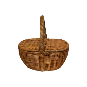 bl016635 gio may picnic co nap va tay cam quai cao 20 45x25h27315
