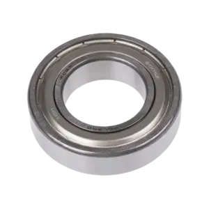bl018944 vong bi 6005zz nsk
