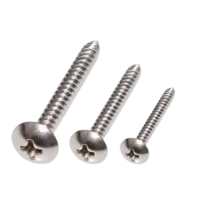 Vít gỗ đầu dù, DIN7984C-ST3x20mm-SUS201 - Ảnh 1