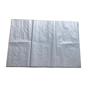 bl019168 bao tai dua mau trang kt60x100cm