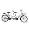 bl019298 xe dap doi mau bac pax 3s pax bikes