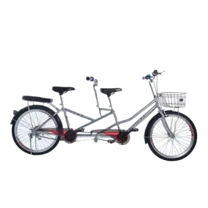 bl019298 xe dap doi mau bac pax 3s pax bikes