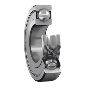 bl019666 vong bi 6007 2z skf