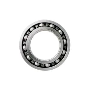 bl019684 vong bi 61913 2z skf