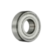 bl019785 vong bi 6006 2znr skf