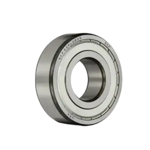 bl019785 vong bi 6006 2znr skf