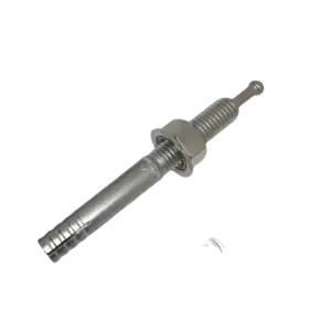 Tắc kê, M10x80-SUS304 - Ảnh 1