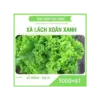 Hạt giống rau xà lách xoăn, 2500 hạt/ gói - Ảnh 1