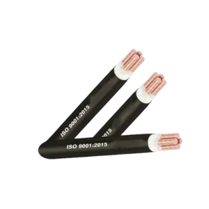 Dây cáp điện, CXV5x 16 Cu/XLPE/5x16mm2/PVC/0.6/1kV, LS - Ảnh 1