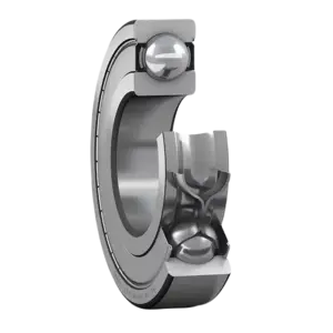bl021016 vong bi 6013 2zc3 skf