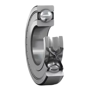 bl021025 vong bi 6010 2z skf