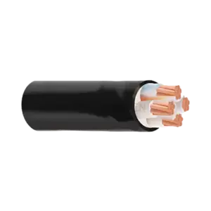 bl021455 cap dien luc ruot dong cach dien pvc cvv 4x10mm cadivi