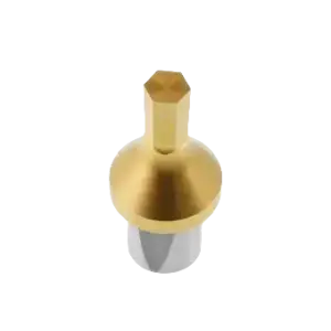 bl022149 dao 20 293040 garant