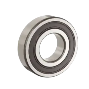 bl024097 vong bi 6000 2rs1 skf