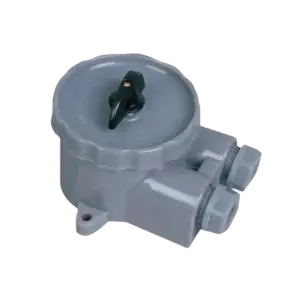 bl024242 cong tac chuyen doi hf2 2 250v 10a ip56 tahat