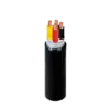 bl024884 cap dieu khien dvv 4x05mm2 061kv cadivi