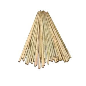 bl024916 coc truc d3cmxl25m da qua xu ly