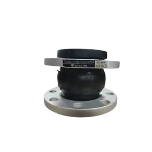 bl026336 khop noi mem dn300 kt12inch 2 mat bich jis10k 16 lo wonil