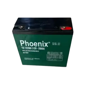 bl026342 ac quy kho ts12200 12v 20ah phoenix