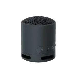bl026618 loa khong day bluetooth srs xb100 sony