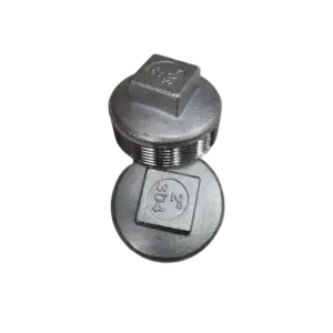 bl028666 nap bit inox ren ngoai d60