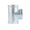 bl028887 te ren trong thep ma kem d21 dn15