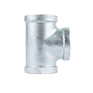 bl028887 te ren trong thep ma kem d21 dn15