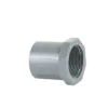 bl029140 noi thang ren trong upvc dn34x1inch tien phong