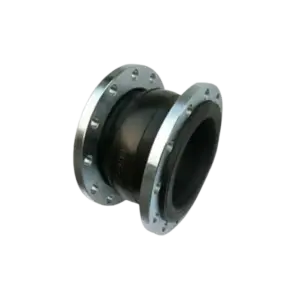 bl034937 khop noi cao su mat bich sus304 pn16 kt4inch100mm